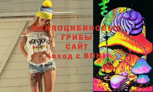 дживик Майский