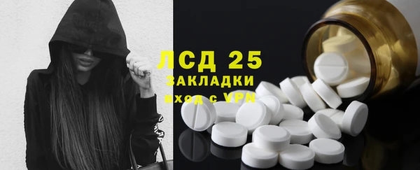 гидра Магас