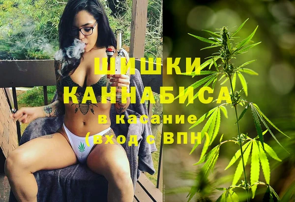 гидра Магас