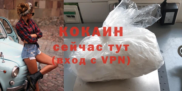 гидра Магас