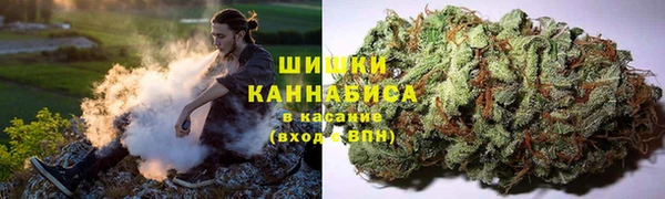 гидра Магас