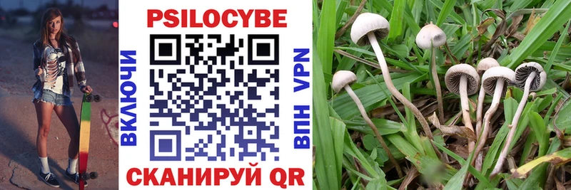 гидра ONION  купить закладку  Новороссийск  Галлюциногенные грибы Psilocybe 